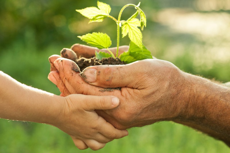 Hai Mảnh Đời – Hai Thái Độ Sống