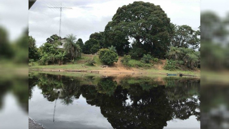 ĐTC sẽ có các quyết định tốt cho THĐGM vùng Amazzonia