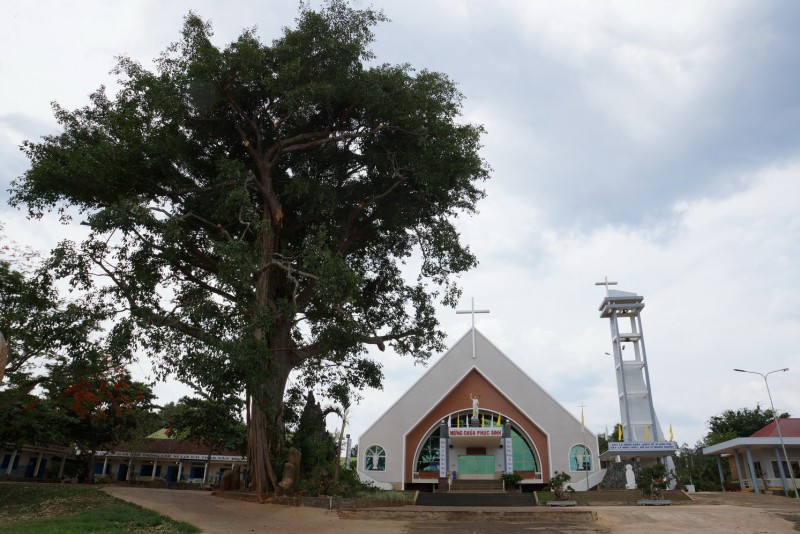 Vinh Hương – Cây đa nay đã “trẻ hóa”.
