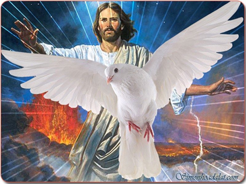 Lạy Chúa Thánh Thần, xin Ngài ngự đến