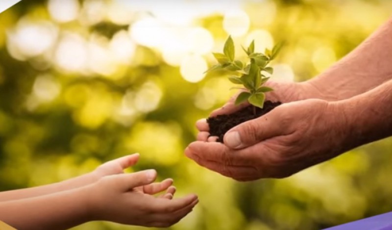 Một chút an ủi dành cho nhau