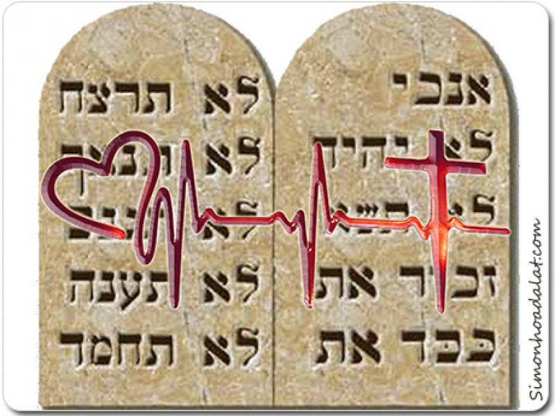 Sửa lỗi là bổn phận và là món nợ phải trả