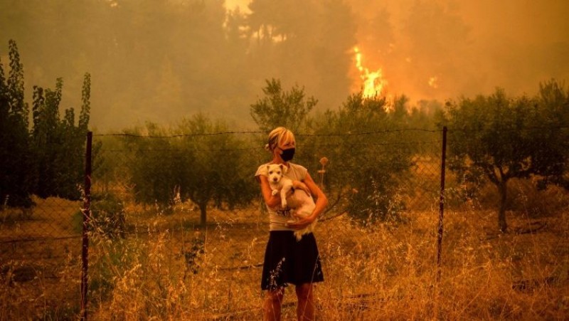 Giáo hội Chính thống Hy Lạp kêu gọi các cộng đoàn đón tiếp các nạn nhân của hỏa hoạn