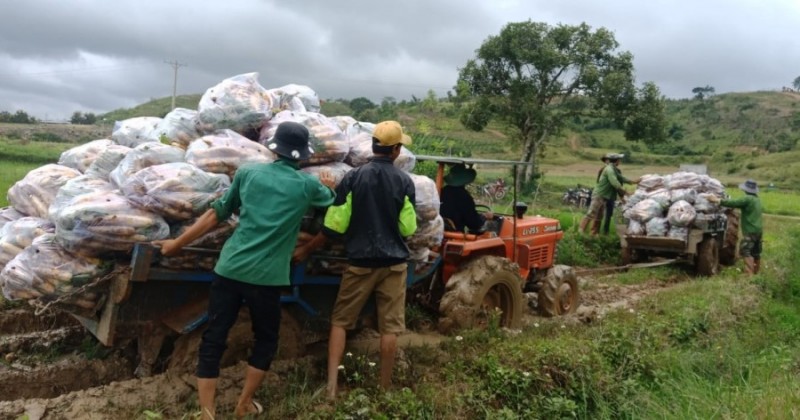 Caritas Đà Lạt: Hơn 255 tấn nông sản hướng về vùng dịch Covid-19