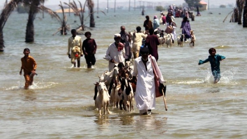 Đáp lời kêu gọi của Pakistan, ĐTC trợ giúp nước này đối phó với hậu quả của lũ lụt