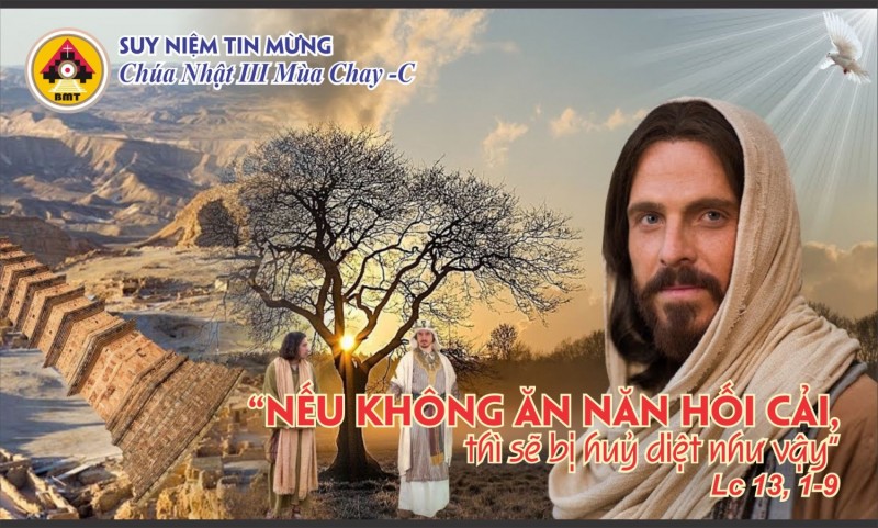 May quá, mình thoát nạn! Hay mình xứng đáng?