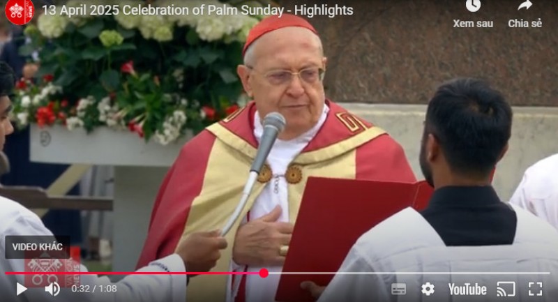 Đức Hồng y Sandri chủ sự Lễ Lá tại Vatican