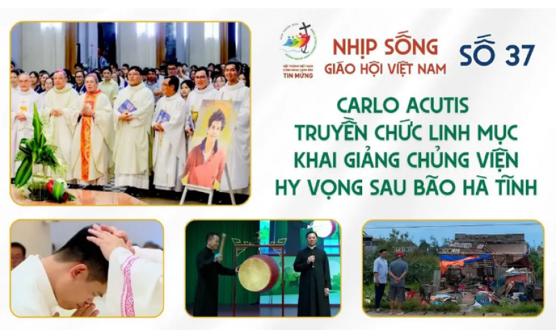 Nhịp sống Giáo hội Việt Nam số 37