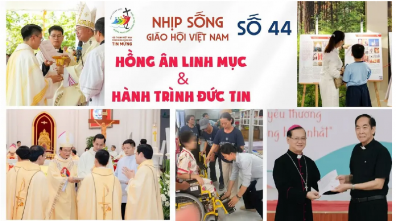 Nhịp sống Giáo hội Việt Nam - Số 44