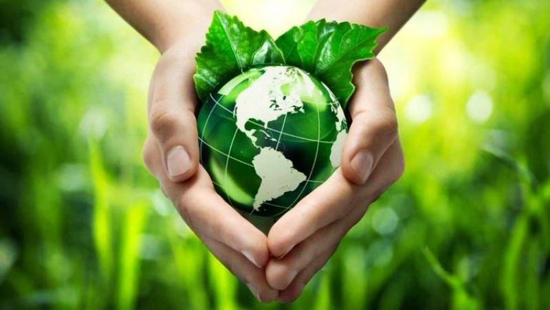 Hòa bình bắt đầu từ con tim và sự hoán cải