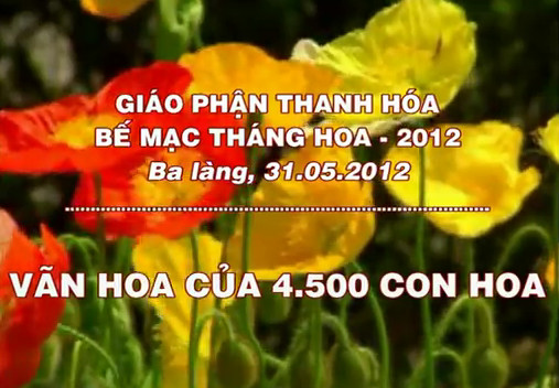 Video: Vãn hoa của 4.500 con hoa