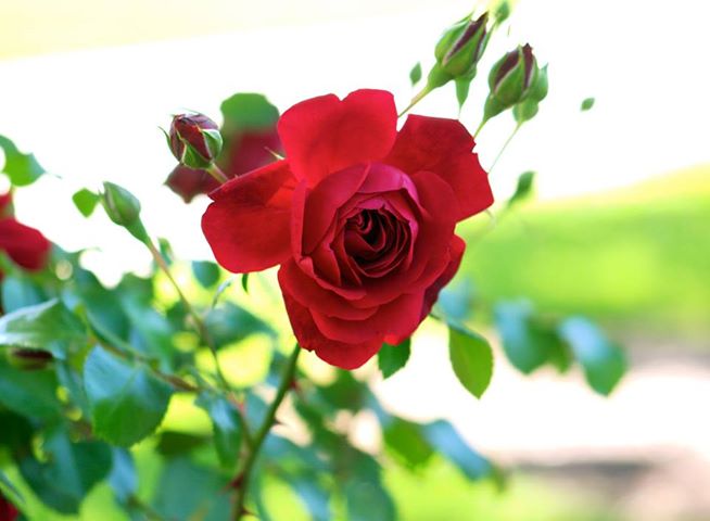 Đừng sợ làm cha mẹ