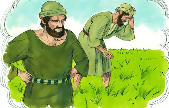 26/7/2025 - Thứ Bảy tuần 16 Thường niên