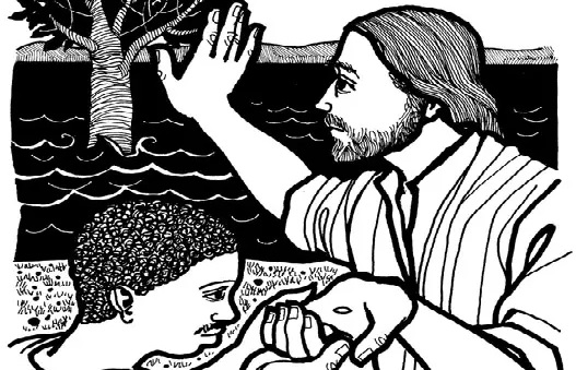 05/10/2025 – Chúa nhật 27 Thường niên năm C