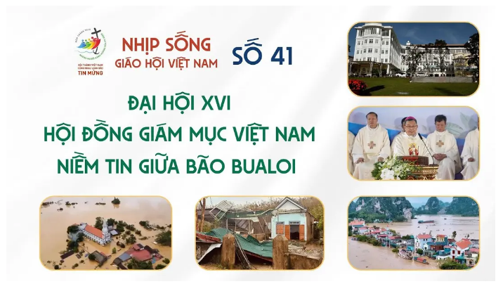 Nhịp sống Giáo hội Việt Nam - Số 41