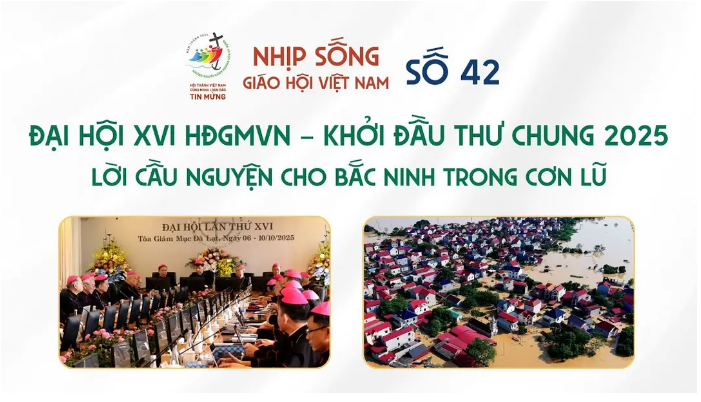 Nhịp sống Giáo hội Việt Nam - Số 42