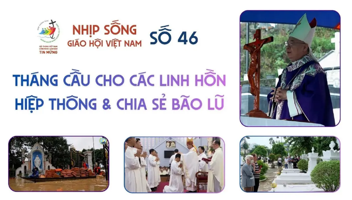 Nhịp sống Giáo hội Việt Nam số 46