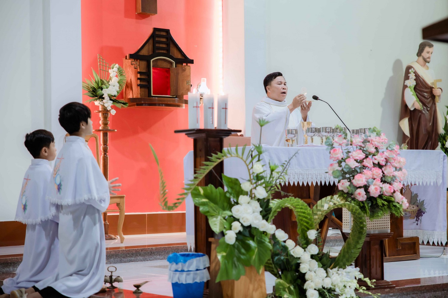 Lễ Đức Mẹ Vô Nhiễm Nguyên Tội: Bổn mạng Giáo họ Vinh Sơn