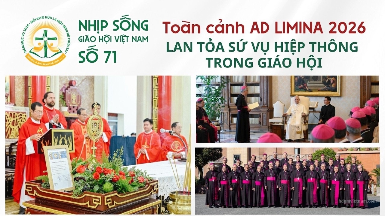Nhịp sống Giáo hội Việt Nam - Số 71