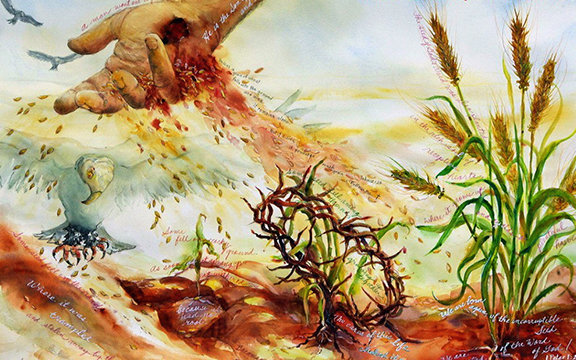 12/7/2026 - Chúa nhật 15 Thường niên năm A